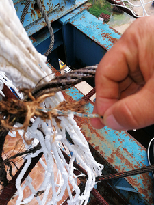 施工现场钢丝绳断裂，公司指派技术人员进行现场分析断裂原因及钢丝绳质量问题并提出处理方案